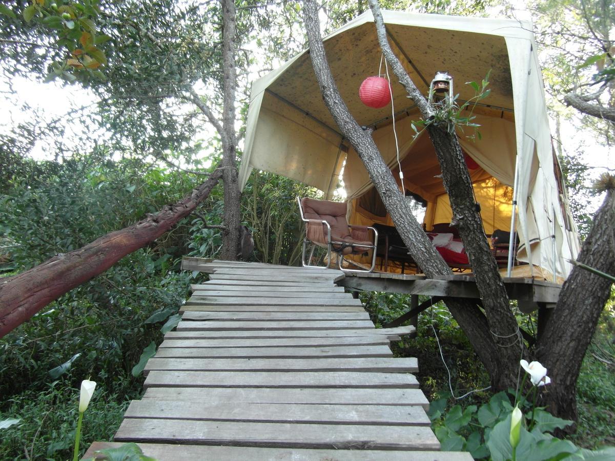Dijembe Backpackers Lodge Стормсривер Экстерьер фото